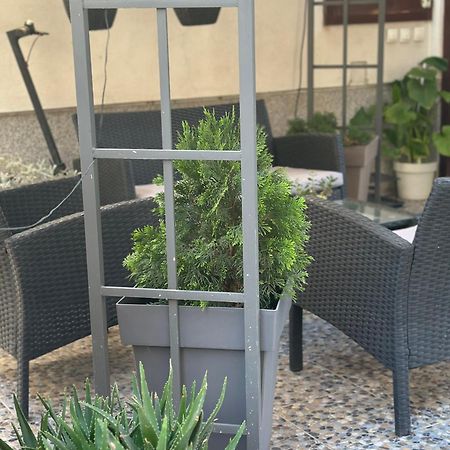 Lilyy Apartman Leskovac  Kültér fotó