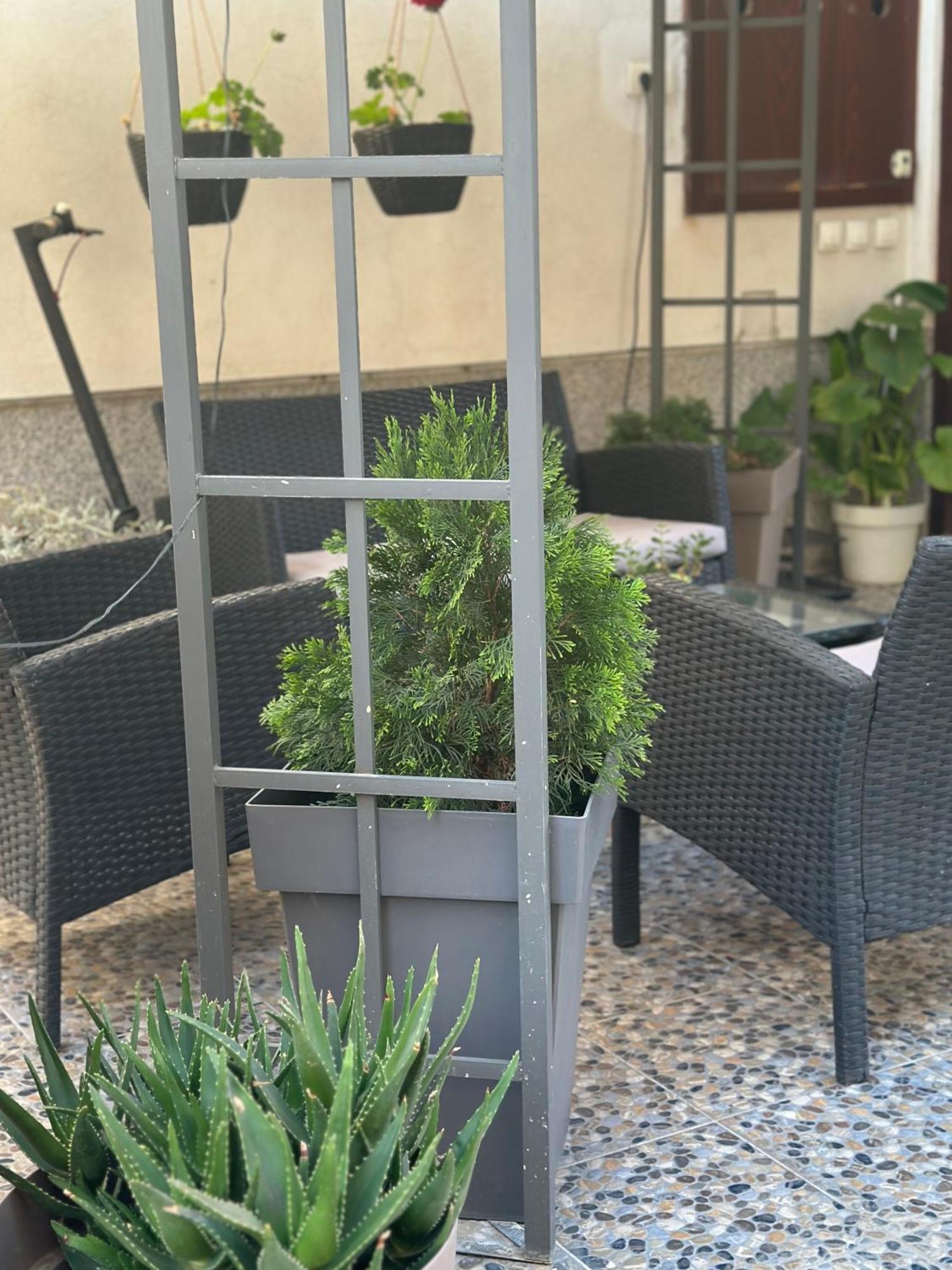 Lilyy Apartman Leskovac  Kültér fotó