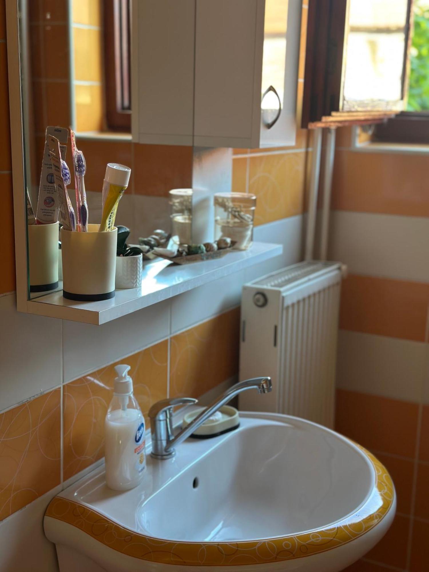 Lilyy Apartman Leskovac  Kültér fotó