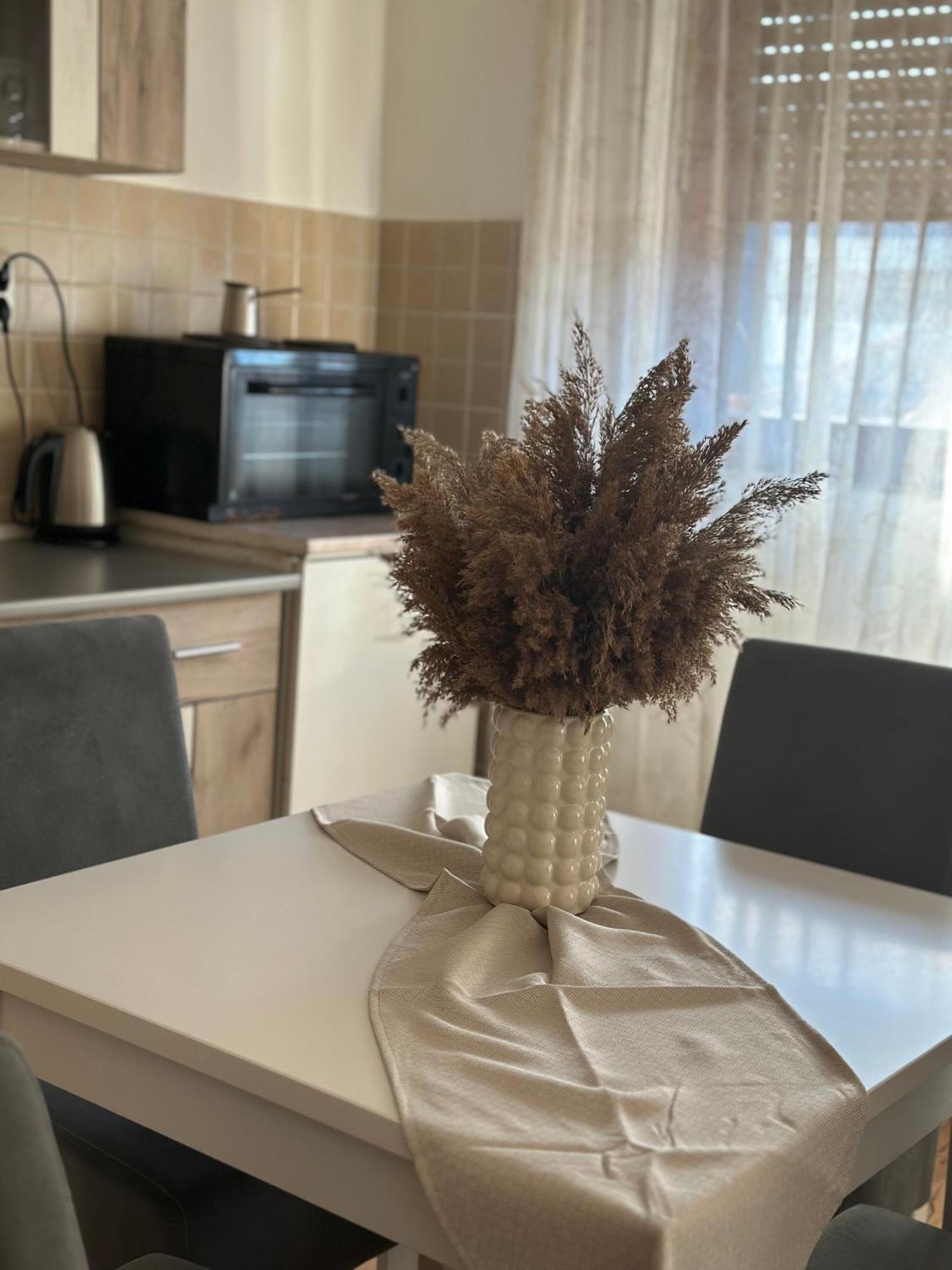 Lilyy Apartman Leskovac  Kültér fotó